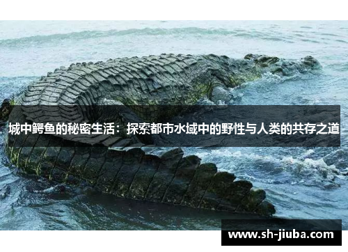 城中鳄鱼的秘密生活：探索都市水域中的野性与人类的共存之道