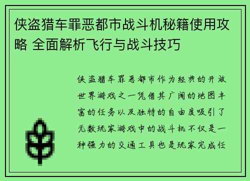 侠盗猎车罪恶都市战斗机秘籍使用攻略 全面解析飞行与战斗技巧